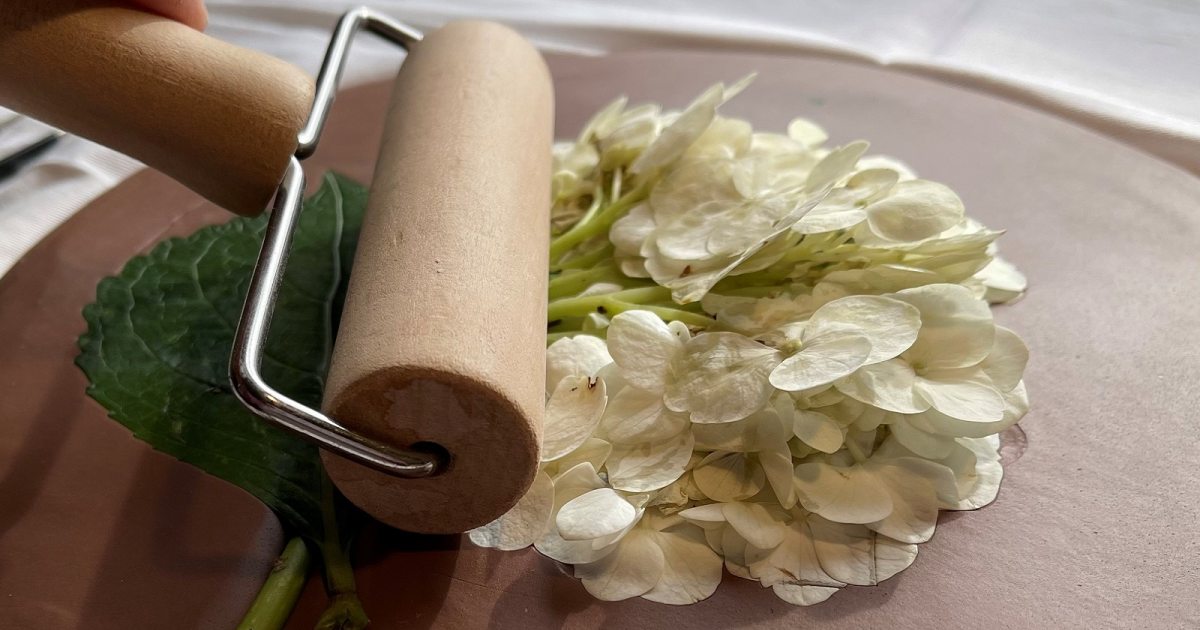 Plaster Cast Flowers Longwood Gardens